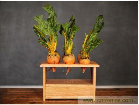 害怕圣誕節(jié)沒(méi)創(chuàng)意？看看發(fā)燒友們?cè)趺催^(guò)圣誕