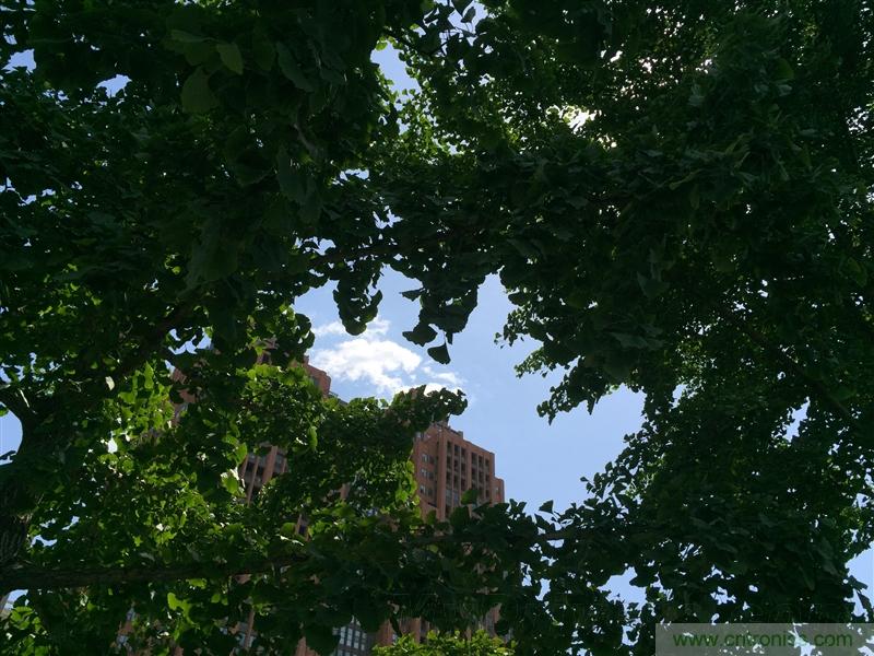 無(wú)邊框的 nubia Z9 ，一款既有驚喜，又有驚艷的智能手機(jī)