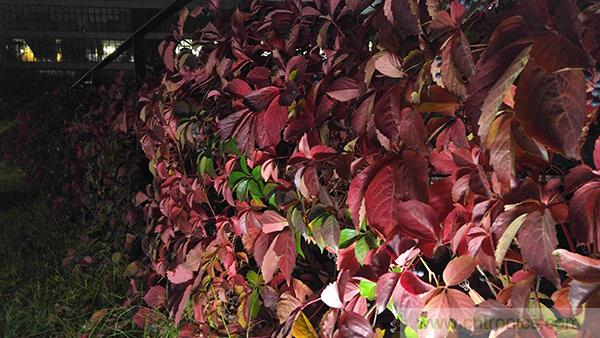 業(yè)界良心 LG V10 評(píng)測(cè):剛毅、冷峻，不失人性化