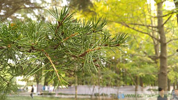 業(yè)界良心 LG V10 評(píng)測(cè):剛毅、冷峻，不失人性化