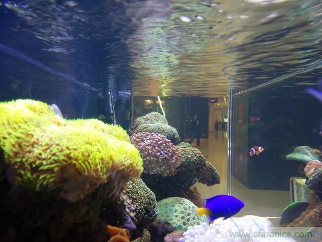 Hi-Fi革命！vivo X6 Plus深度評測：夠快才暢快