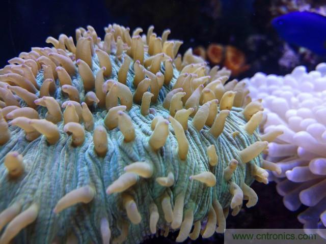 Hi-Fi革命！vivo X6 Plus深度評測：夠快才暢快