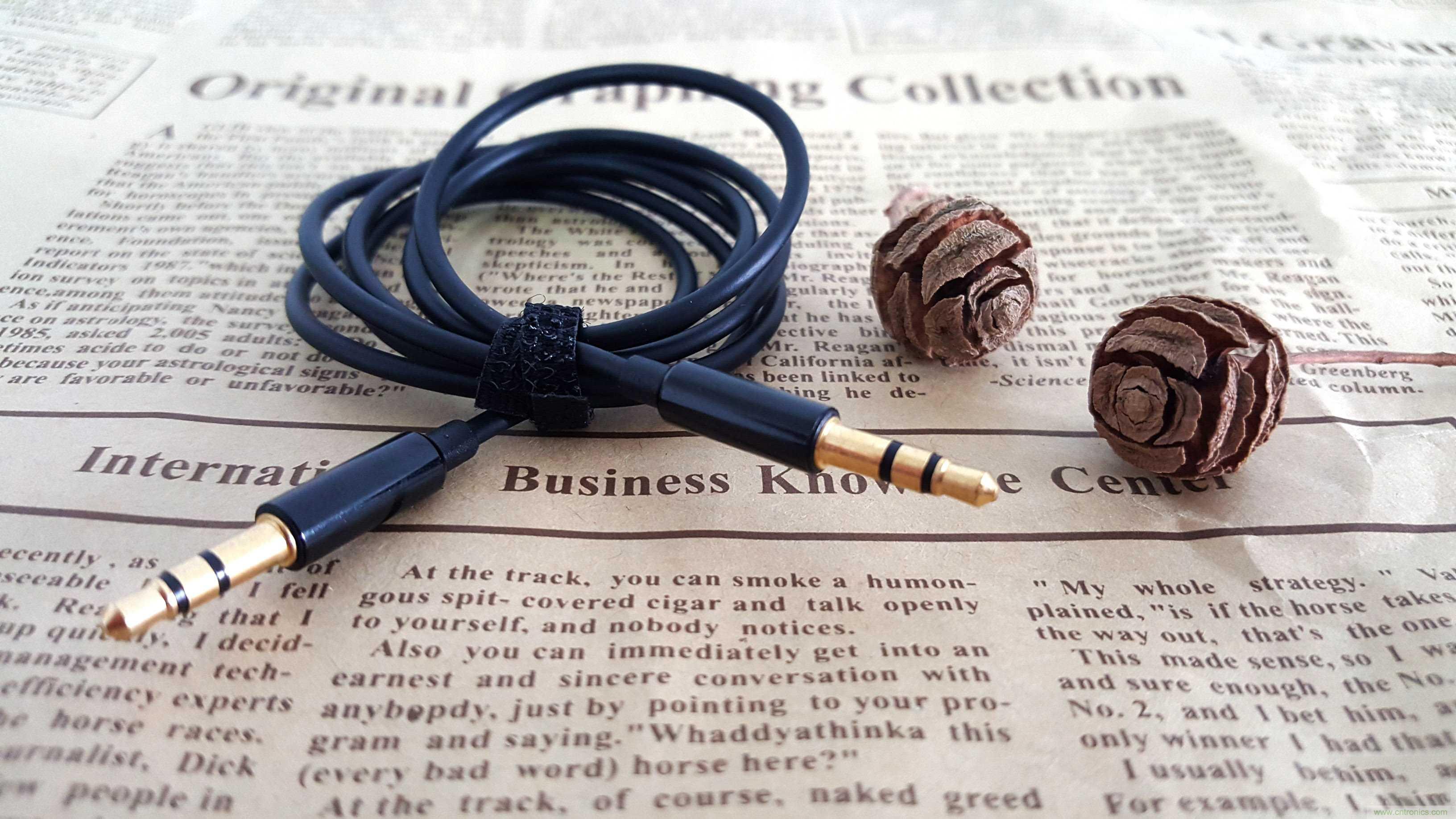 搞怪&ldquo;美人魚&rdquo;盡享靈克藍牙音箱的天籟之音！