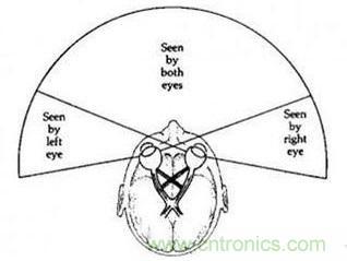 雙目重疊技術(shù)在VR中有什么作用？