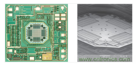 ADXL202 &plusmn;2 g加速度計。