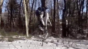 走直線很難嗎？陀螺儀表示，少了它機(jī)器人連直線都走不了