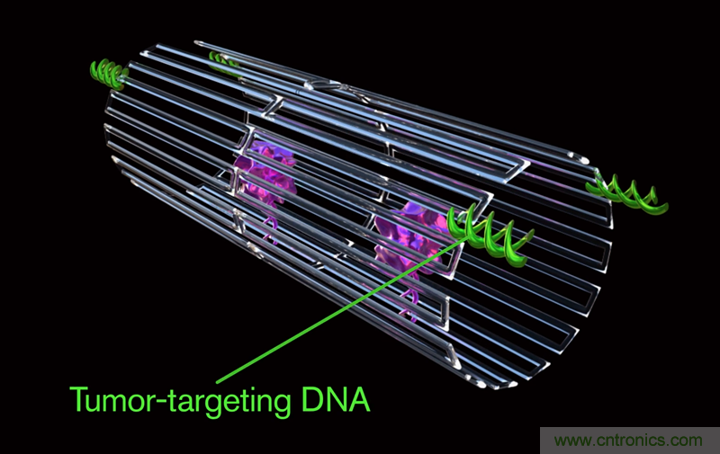中美科學家聯(lián)手，用DNA納米機器人殺死癌細胞