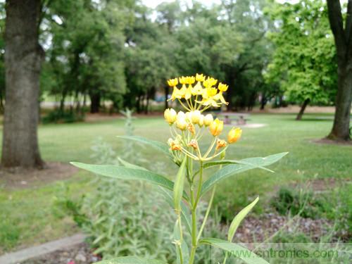 無(wú)數(shù)的拍攝，只為成就一個(gè)完美回憶