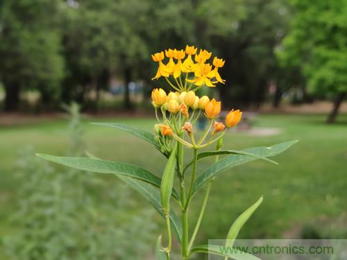 無(wú)數(shù)的拍攝，只為成就一個(gè)完美回憶