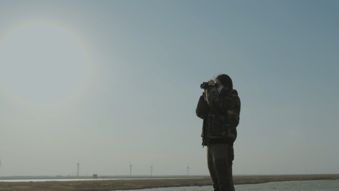 世界濕地日：?？低晹y手一個地球自然基金會，在上海守護這個重要“驛站”