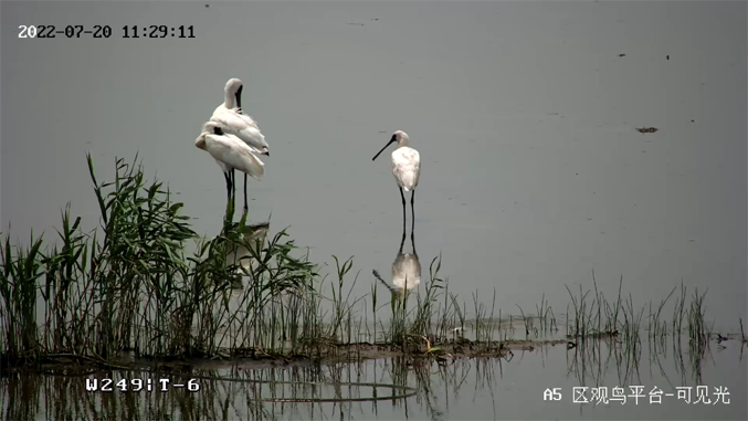 ?？低暟l(fā)布2022年ESG報(bào)告：科技為善，助力可持續(xù)的美好未來