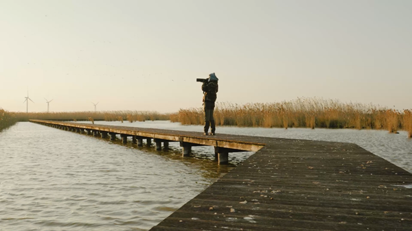 世界濕地日：?？低晹y手一個地球自然基金會，在上海守護這個重要“驛站”