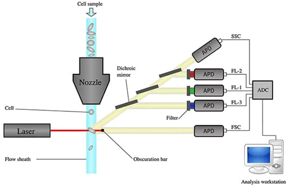解決了！這個(gè)模塊解決了流式細(xì)胞儀設(shè)計(jì)的多個(gè)痛點(diǎn)！