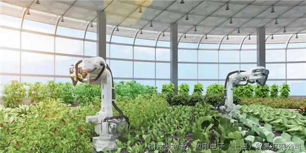 智慧農(nóng)業(yè)大有可為，“數(shù)字種地”更輕松