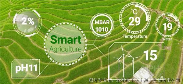智慧農(nóng)業(yè)大有可為，“數(shù)字種地”更輕松
