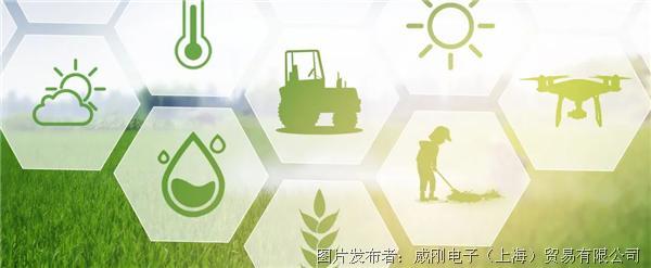 智慧農(nóng)業(yè)大有可為，“數(shù)字種地”更輕松